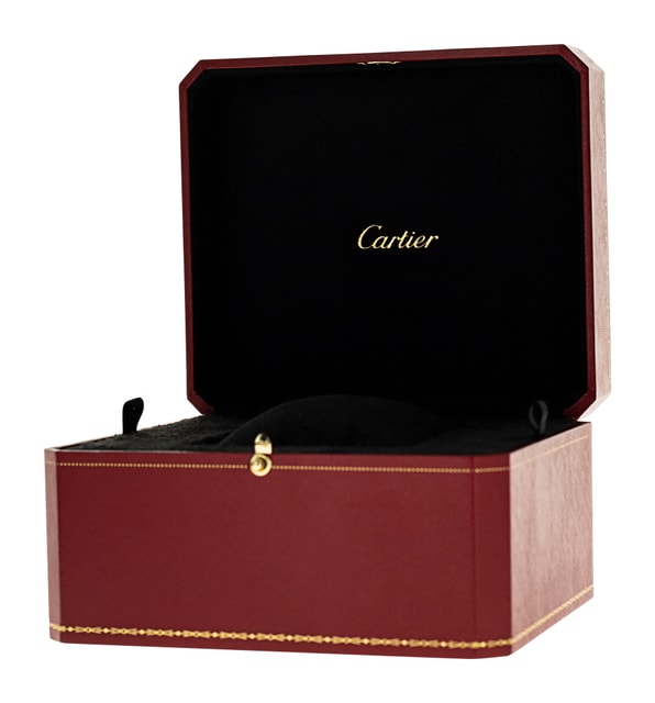 Cartier Pasha WSPA0010 Image 5